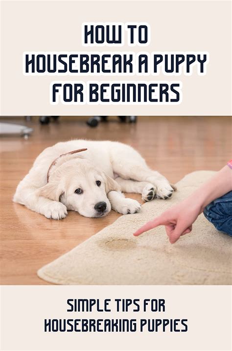 Housebreaking Puppies Için En Iyi 9 Kural